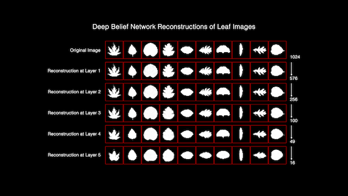RbmDbnReconExamples
