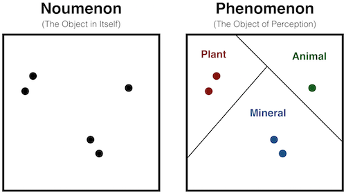 CategoriesInPerception