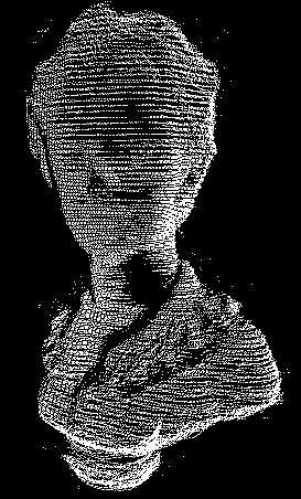 Bust (Original Data)