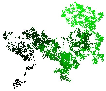 Particle Walker path visualization 1