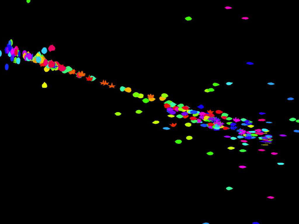t-SNE visualization showing the spatial relationships between different leaf types in a two-dimensional map