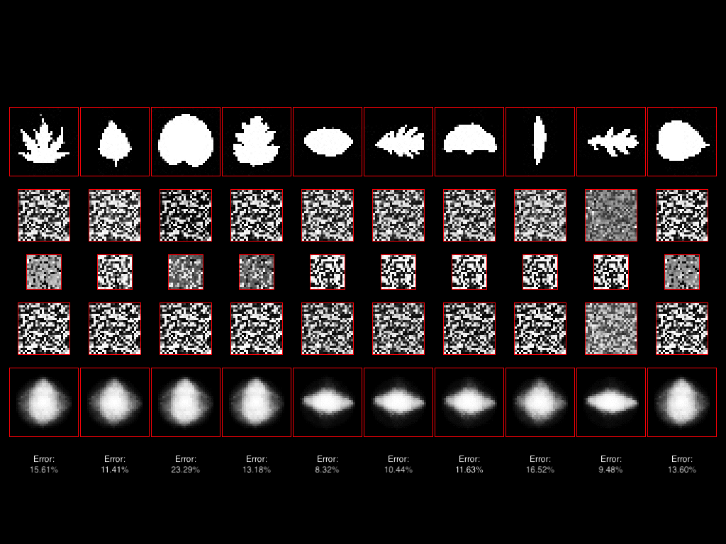 Animation showing the training process of a Deep Belief Network on leaf images
